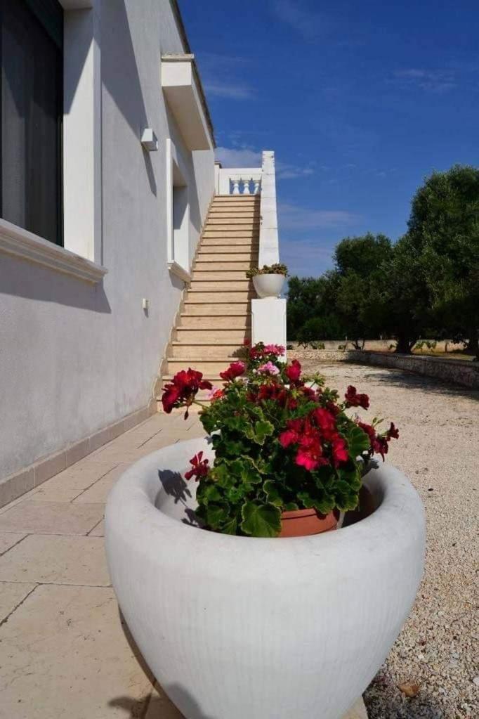 Le Stanze Di Casa Polinisso Guest House Carovigno Bagian luar foto